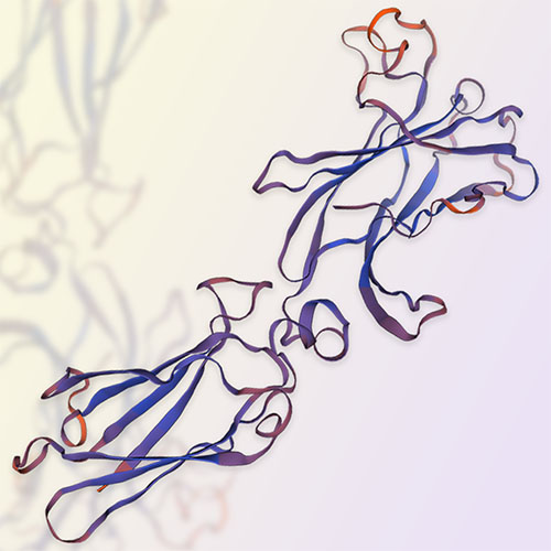 IL-17RA重组蛋白，ACROBiosystems百普赛斯