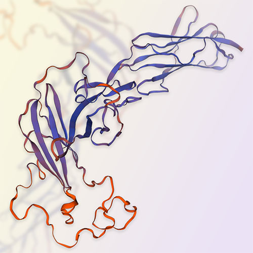 IL-18 R beta重组蛋白-ACROBiosystems百普赛斯