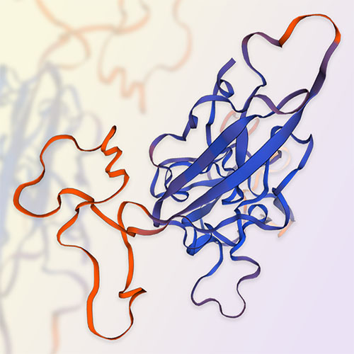 IL-22BP/IL-22RA2蛋白-ACROBiosystems百普赛斯