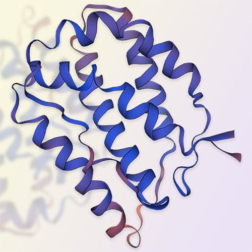 白介素24（IL-24）蛋白-ACROBiosystems百普赛斯