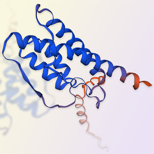 白介素31/IL-31，ACROBiosystems百普赛斯