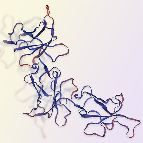 KIR3DL3/CD158z蛋白-ACROBiosystems百普赛斯