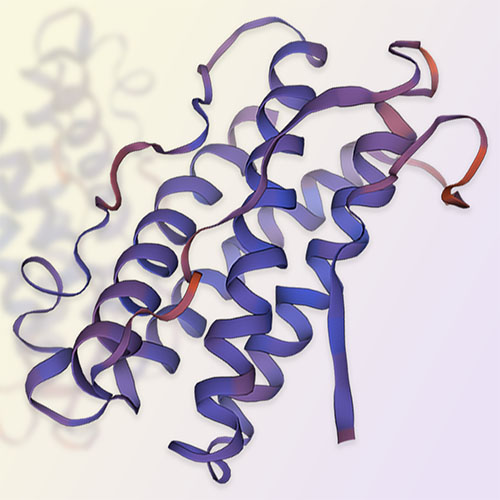 LIF重组蛋白-ACROBiosystems百普赛斯