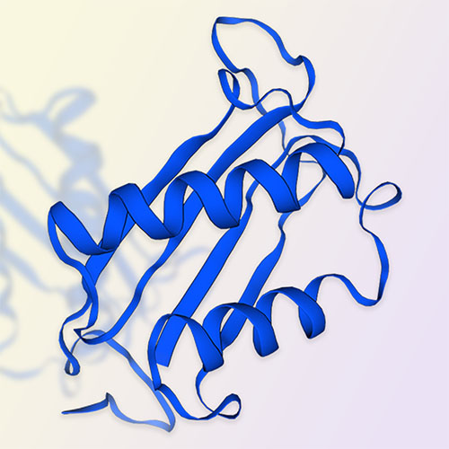 MIF蛋白-ACROBiosystems百普赛斯