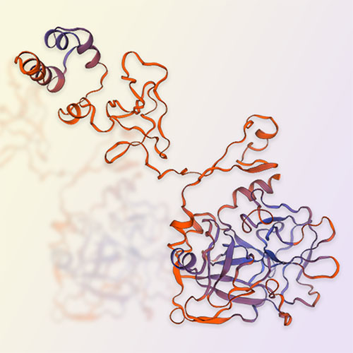 凝血因子IX（Coagulation factor IX）-ACROBiosystems百普赛斯