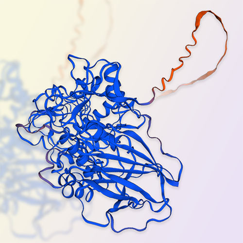 葡糖苷酰鞘氨醇酶Glucosylceramidase-ACROBiosystems百普赛斯