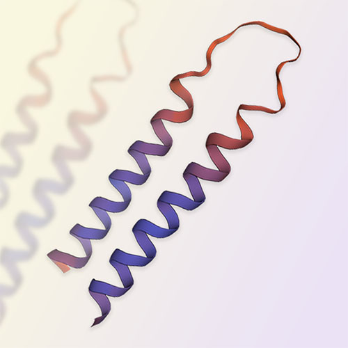 CD52重组蛋白-ACROBiosystems百普赛斯