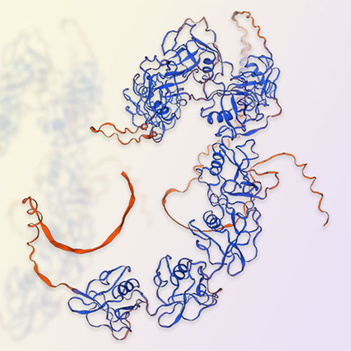 CD163重组蛋白-ACROBiosystems百普赛斯