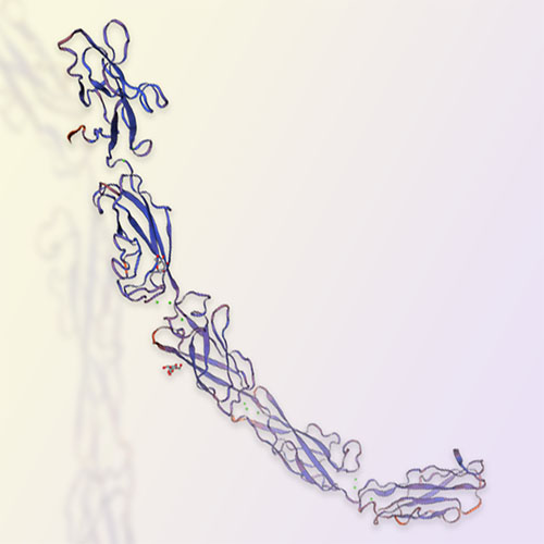 E-Cadherin重组蛋白-ACROBiosystems百普赛斯