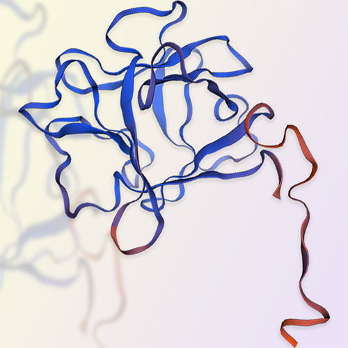 FGF acidic重组蛋白-ACROBiosystems百普赛斯