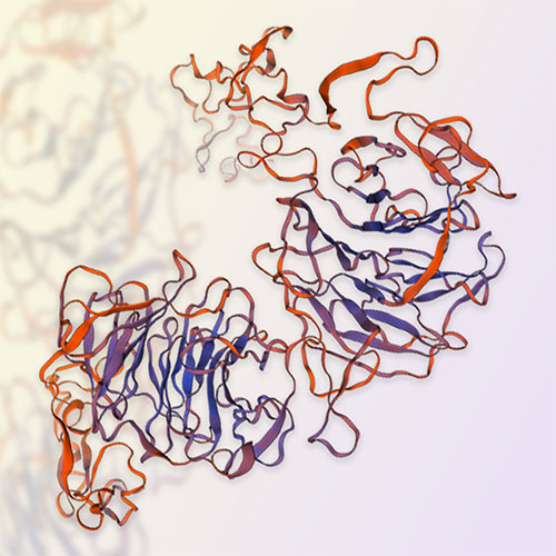 LRP5重组蛋白-ACROBiosystems百普赛斯