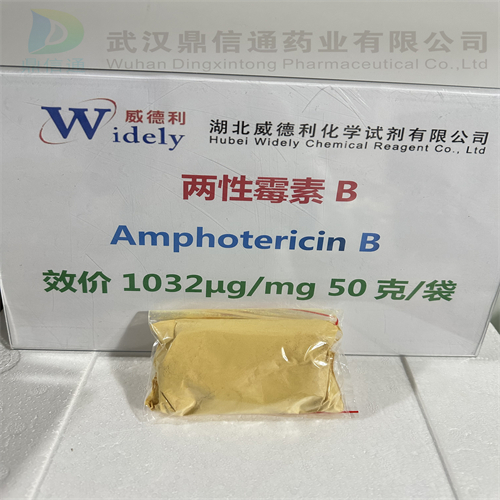 两性霉素B-口服  Amphotericin B1397-89-3