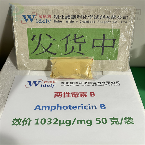 两性霉素B-口服  Amphotericin B1397-89-3