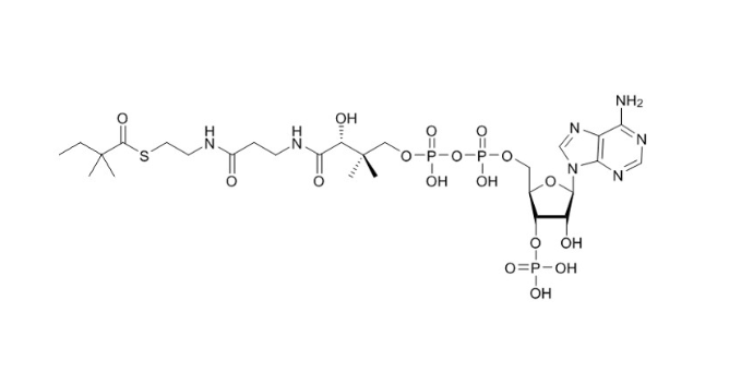 2,2-二甲基丁酰辅酶A（钠盐）2,2-dimethyl-butyryl-CoA (sodium salt)