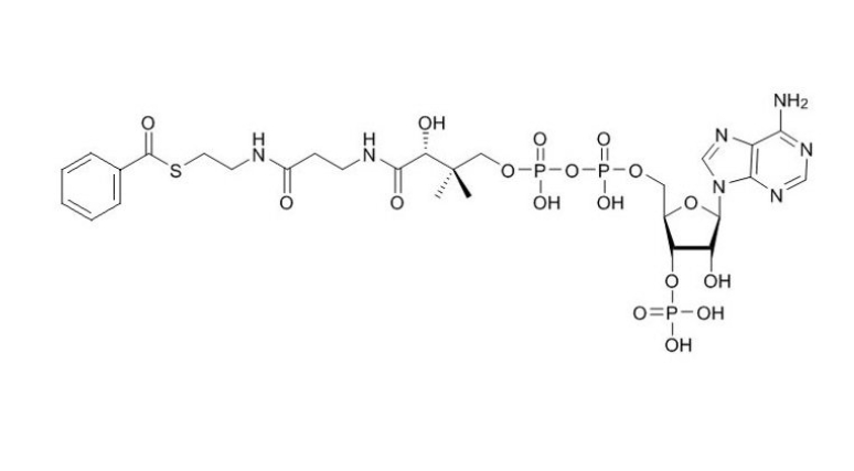 苯甲酰辅酶A（钠盐）Benzoyl coenzyme A sodium-salt 102185-37-5