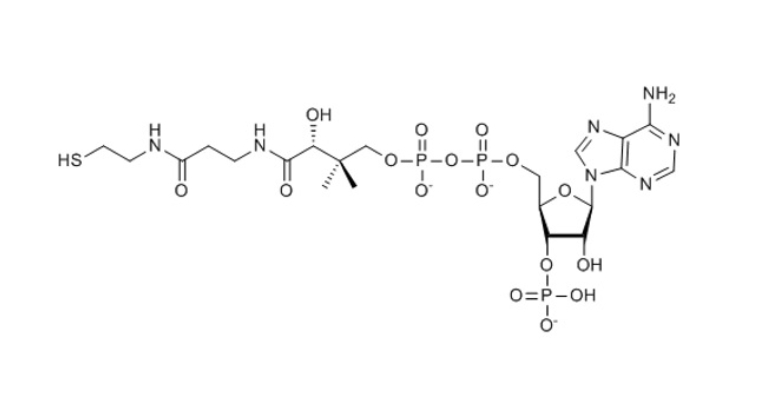 辅酶A（锂盐）Coenzyme A-lithium-salt 18439-24-2