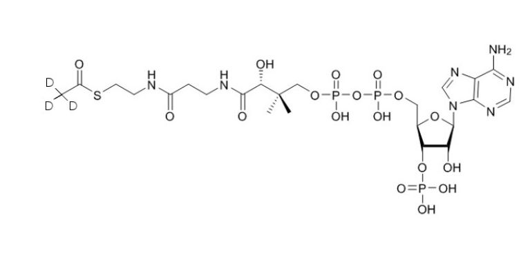 D3-乙酰辅酶A（钠盐）D3-Acetyl-CoA-sodium-salt