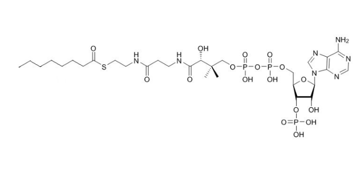 辛酰辅酶A（钠盐）Octanoyl coenzyme A  1264-52-4