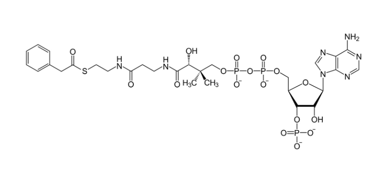 苯乙酰辅酶A（钠盐）PHENYLACETYL COENZYME A LITHIUM SALT 108321-26-2