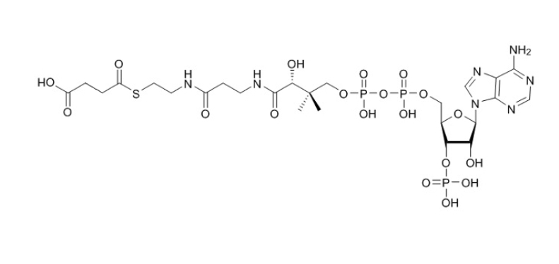 琥珀酰辅酶A（钠盐）SUCCINYL COENZYME A SODIUM SALT 108347-97-3