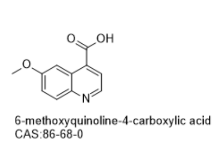 6-methoxyquinoline-4-carboxylic acid