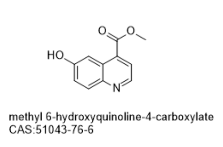 methyl 6-hydroxyquinoline-4-carboxylate