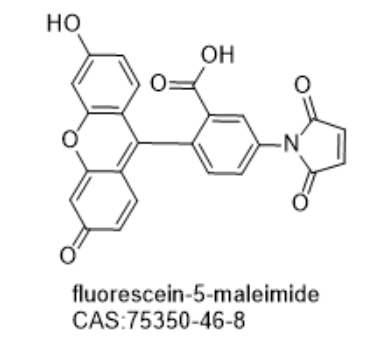 fluorescein-5-maleimide