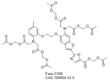 Fura-2/AM