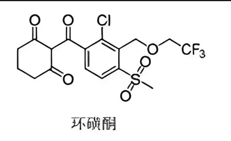 环磺酮酸 120100-77-8