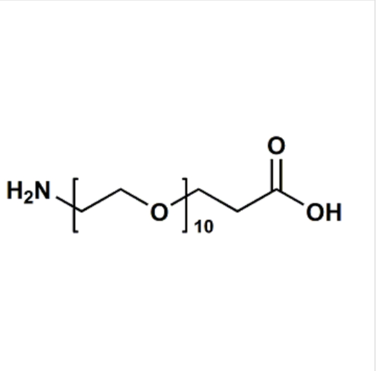 NH2-PEG10-CH2CH2COOH