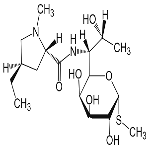 林可霉素B