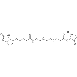 Biotin-PEG2-NHS ester