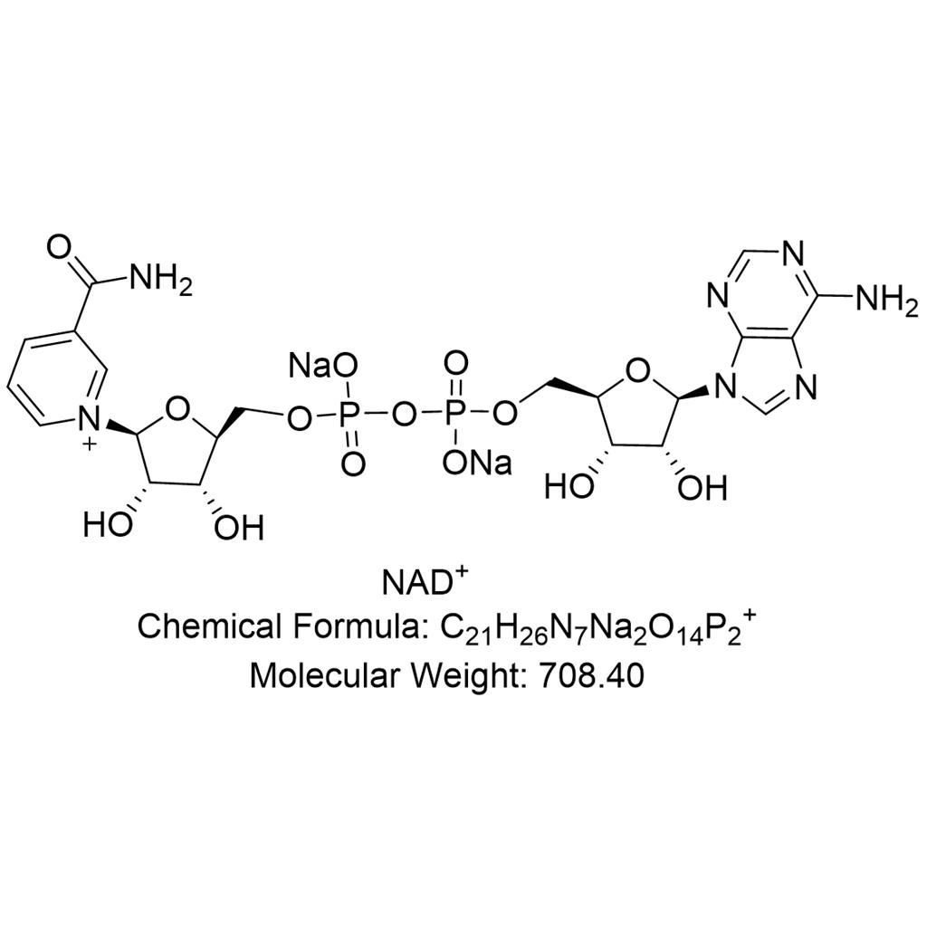 NAD;β-烟酰胺腺嘌呤二核苷酸