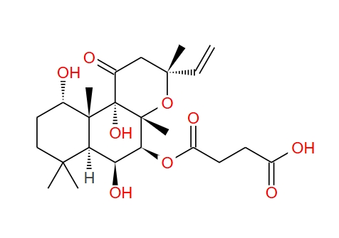 福斯高林7-O-半琥珀酰-7-脱乙酰基