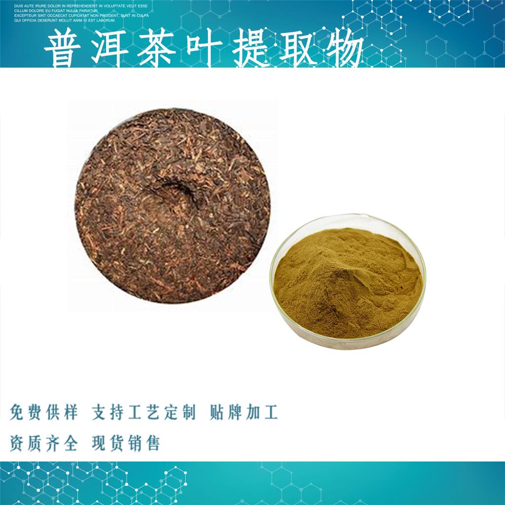 普洱茶叶提取物