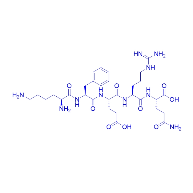 五肽KFERQ/115084-19-0/Lys-Phe-Glu-Arg-Gln