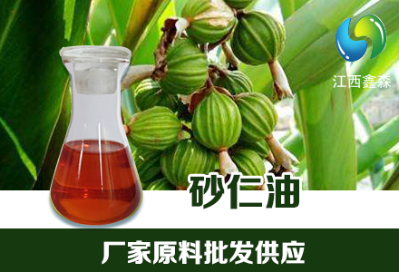 砂仁油 植物提取挥发油