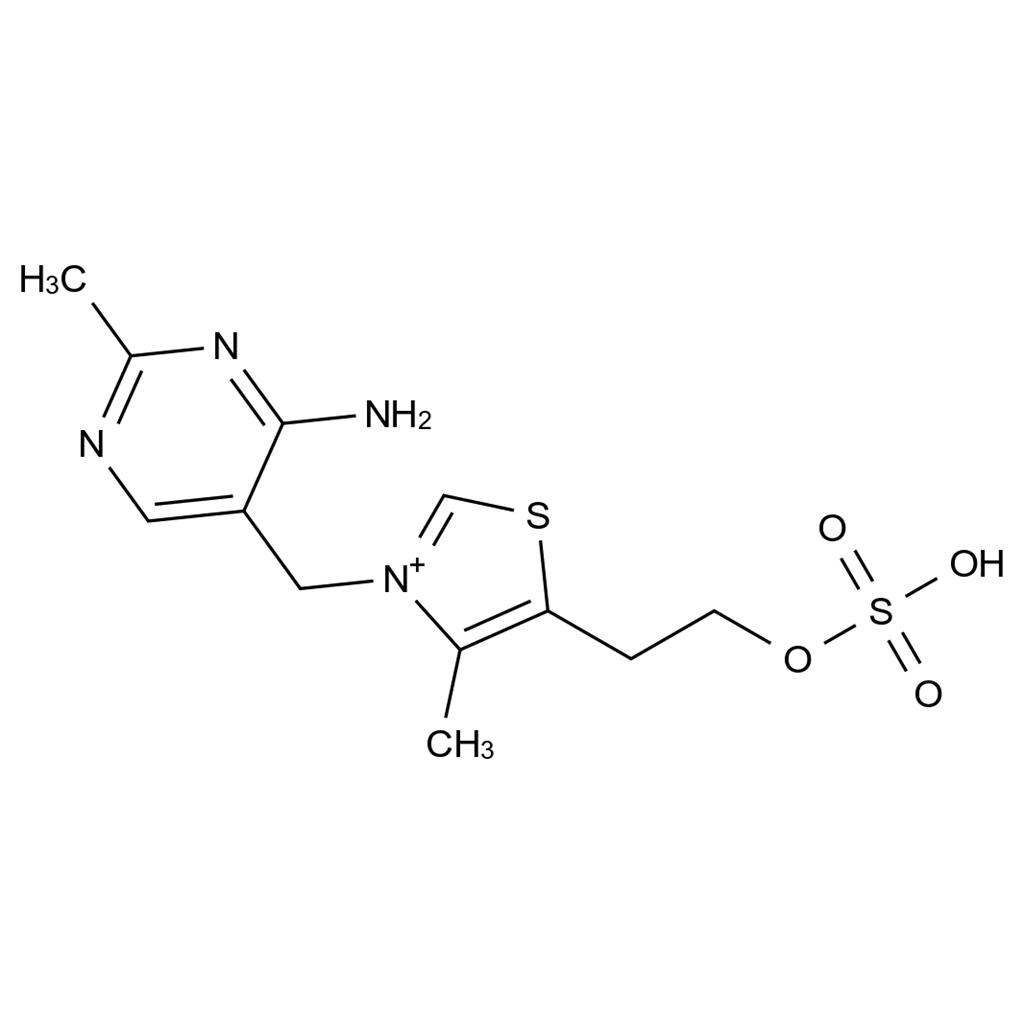 CATO_硝酸硫胺EP杂质A_2380-61-2_95%