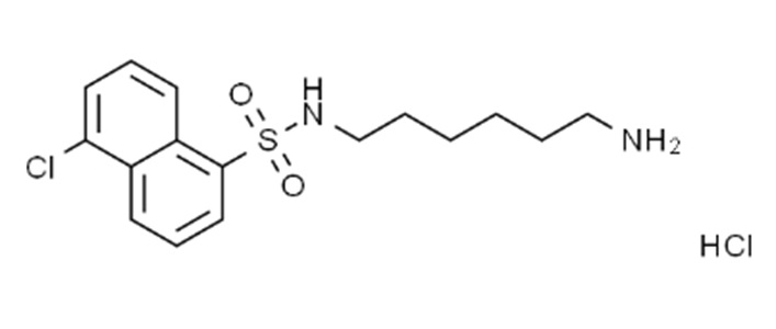 W-7 hydrochloride，活性分子，61714-27-0