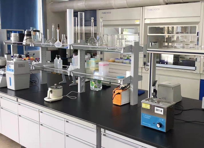 人弹性蛋白酶1(Elastase-1)ELISA试剂盒