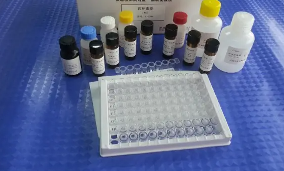 人细胞色素P450家族成员24A1(CYP24A1)ELISA试剂盒