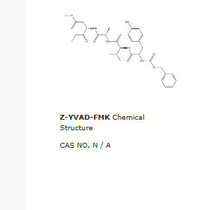 Z-YVAD-FMK 210344-97-1