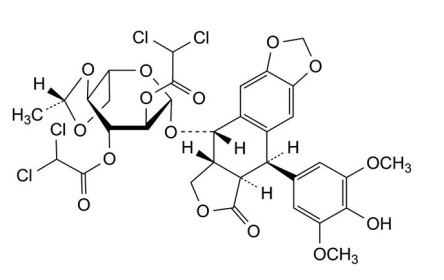 CATO_依托泊苷EP杂质O_260974-95-6_95%