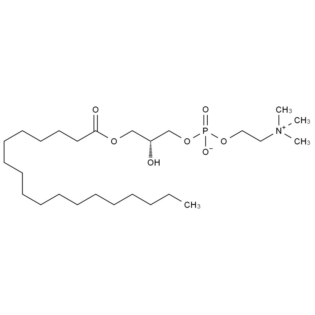 CATO_1-硬脂酰-sn-甘油-3-磷酸胆碱_19420-57-6_97%