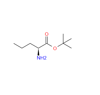 15911-75-8；L-正缬氨酸叔丁酯；L-Norvaline t-butyl ester