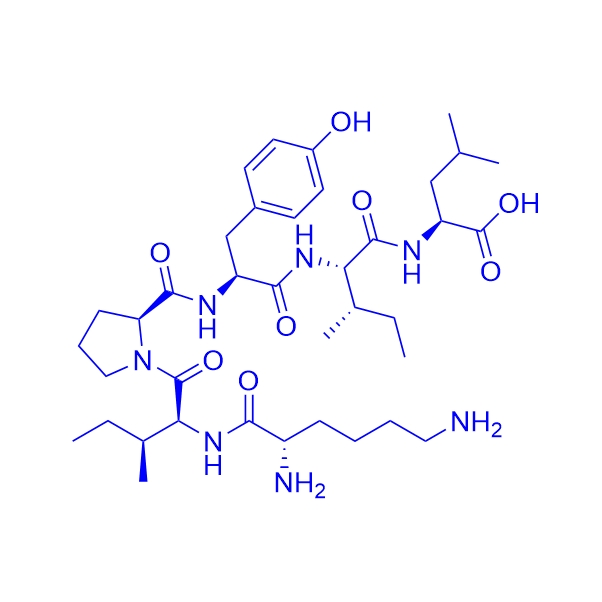 神经介素 N Neuromedin N/92169-45-4/Neuromedin N