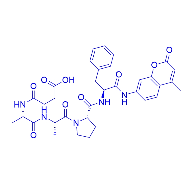 Suc-Ala-Ala-Pro-Phe-AMC/88467-45-2/