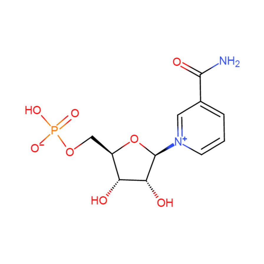 β-烟酰胺单核苷酸1094-61-7