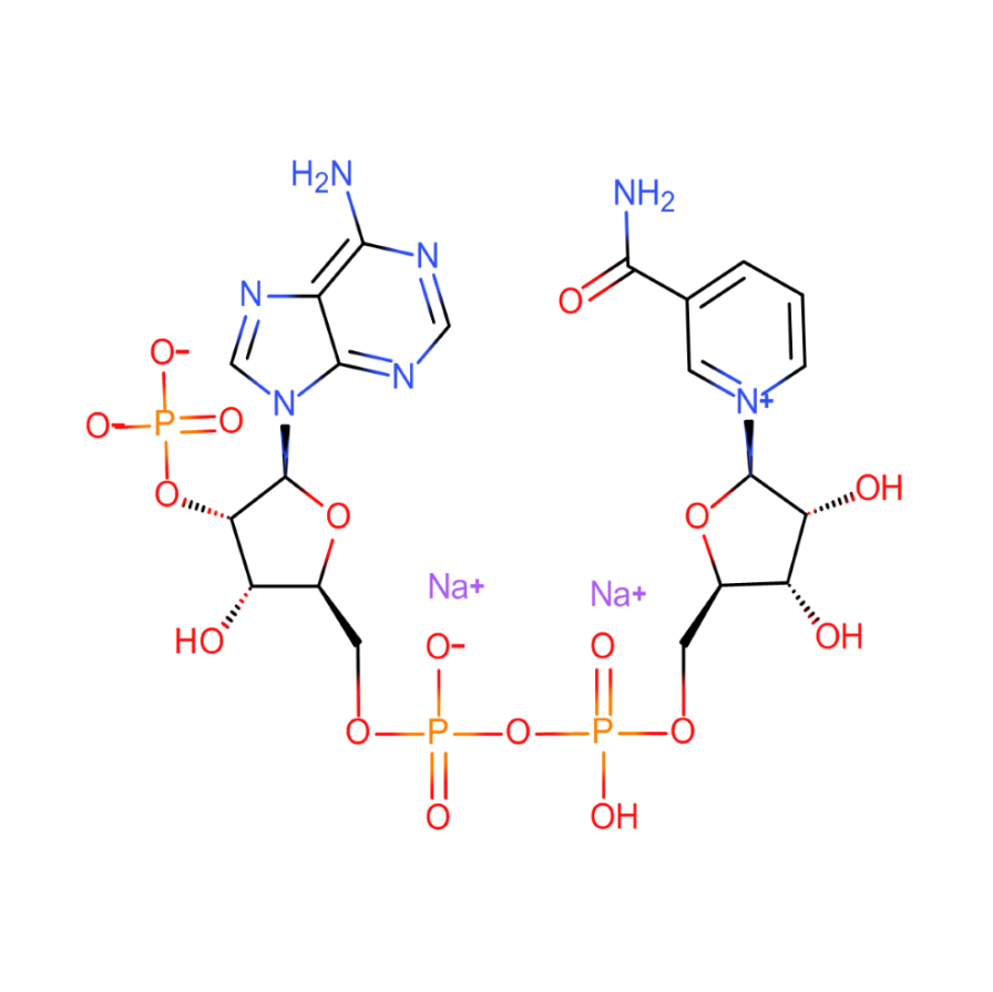 β-烟酰胺腺嘌呤二核苷酸磷酸二钠盐,NADP