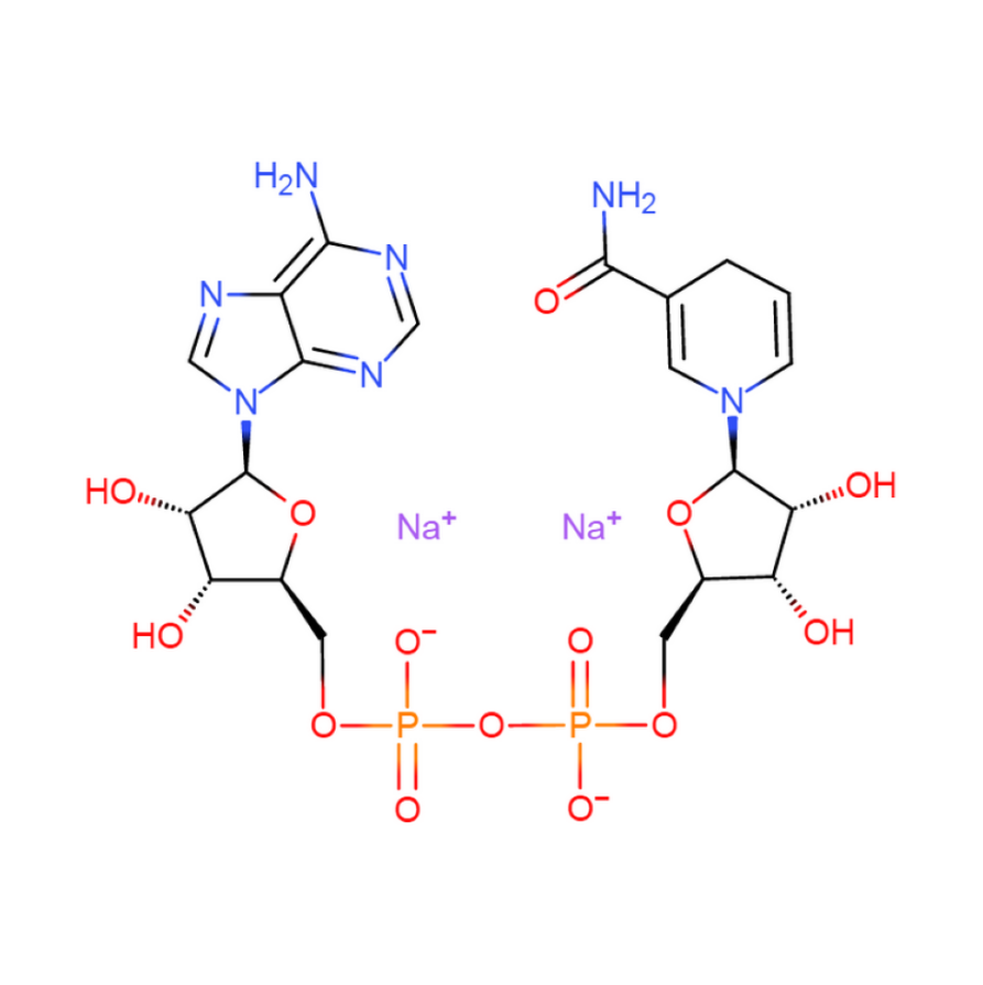 β-烟酰胺腺嘌呤二核苷酸二钠盐 606-68-8